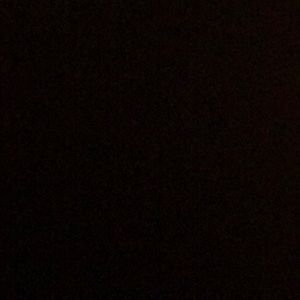 Meet your Posher, Eva